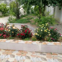 6 هکتار زمین کشاورزی
