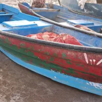 شبوط ۶ متری درحد نو