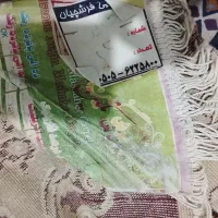 دو عدد فرش ۱۲ متری