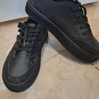 کیف و کفش های نو گذاشتم زیر قیمت|کیف، کفش، کمربند|تالش, هشتپر|دیوار