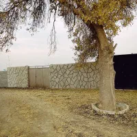 باغچه چهار دیواری چسب امکانات و انشعابات