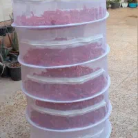 توری طبقاتی میوه و سبزی خشک کن