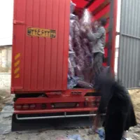بالش. تشک. روبالشتی|رختخواب، بالش، پتو|ایرانشهر, |دیوار