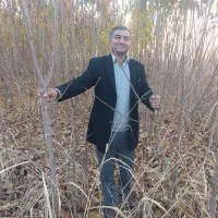 نهـال سـالم و با کـیفـیت ،مناسب بـاغ و ویــلا