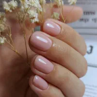 اجاره صندلی ناخن