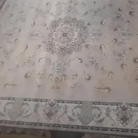 سلام کسی فرش میخواد پیام بده|فرش|میناب, |دیوار