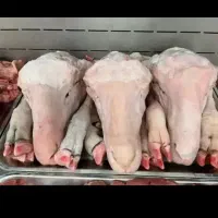 فروش ‌کله پاچه وشکمبه سیرابی فلک الدین زیر قیمت