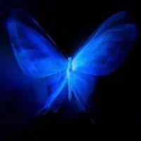 جدیدد پول رایگان