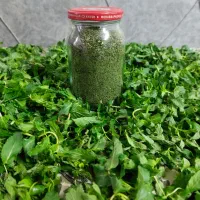 سبزی خشک نعناع تازه و با کیفیت