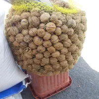 گردوکلات برنج ایرانی طارم وسرلاشه