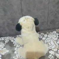 عروسک|اسباببازی بچه|گلبهار, شهر جدید گلبهار|دیوار