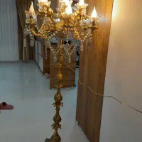 کنارسالنی شیک