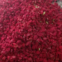گیاه دارویی گلنار فارسی درجه یک صادراتی