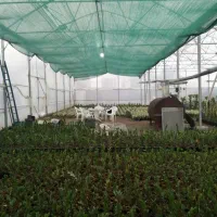 فروش توری های سایبان|خدمات پیشه و مهارت|ری, بازار گل خاوران|دیوار