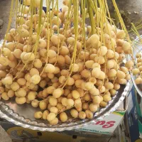 رطب و خارک آبادان