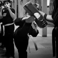 آموزش سبک رزمی نین جوتسو (نینجا)