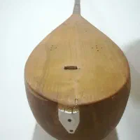 دوتار خوش صدا|سازهای سنتی|بجنورد, |دیوار