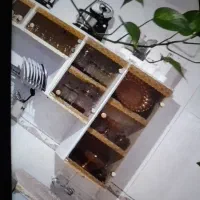 کابینت آشپزخانه درحد نو ده متر بالا و پایین