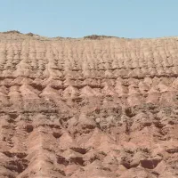 درخواست خودرو