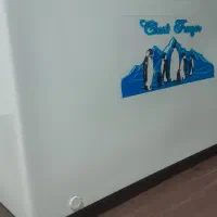 یخچال صندوقی