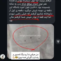 پودرشپش بیت دواسی تضمینی|آرایشی، بهداشتی، درمانی|پارسآباد, |دیوار