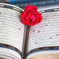 دعا سرکتاب قران خوانی نسرن