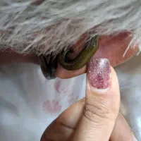 زیبایی درمانی