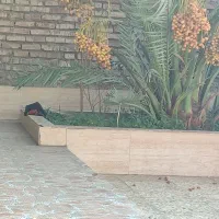 خانه ویلایی واقع در روستای دامغه کوچک