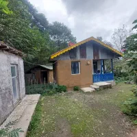 رودخانه و جنگل در همین نزدیکی