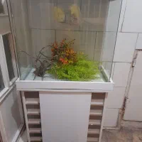 آکواریوم