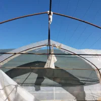 تعدادی قفسه پروفیلی ونرده سازه گلخانه و تیرچوبی|کتابخانه، شلف، قفسههای دیواری|فلاورجان, |دیوار