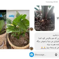 قرص کود ارگانیک ۱۲۰ عددی (ارسال نمایندگی)|گل و گیاه طبیعی|اهواز, فاز ۲ پادادشهر|دیوار