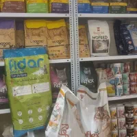 نیروی کار خانم جهت کار فروشگاه اینترنتی