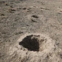 فروش زمین کشاورزی  800 متر در بالادست فولادمحله|فروش دفتر صنعتی، کشاورزی، تجاری|شهمیرزاد, |دیوار