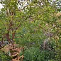 خونه-باغ