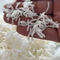 کشت دوم اعیانی فریدونکنار