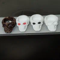 سلام جاسگاری کلکسیونی مهاوضه با کبوتر