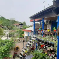 سوییت کلبه سنتی