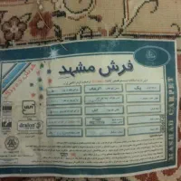 فرش 12متری|فرش|رشت, دروازه لاکان|دیوار