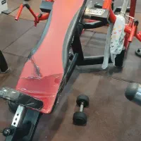 بدنسازی|تجهیزات ورزشی|دلند, |دیوار