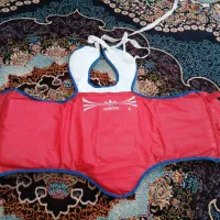 هوگو کاراته و تکواندو 4