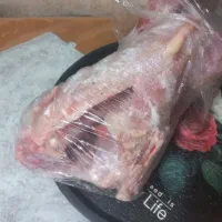 بوقلمون محلی