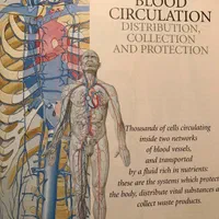 اطلس اناتومی ATLAS OF ANATOMY|کتاب و مجله آموزشی|کلاردشت, |دیوار