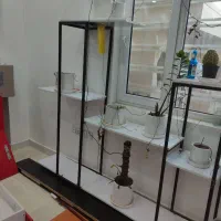 استند گل|گل و گیاه طبیعی|بندر کنگان, |دیوار