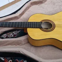 گیتار نو همراه با هارد باکس