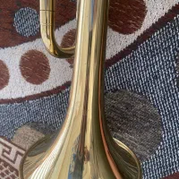 ترومپت جینبائو|سازهای بادی|اصفهان, بهارستان|دیوار