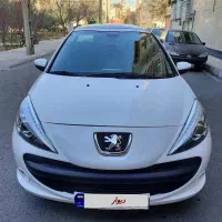 207مدل1403پاناروما درحد خشک بیرنگ