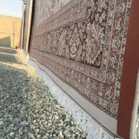 قالیشویی خاطره شهریار اندیشه