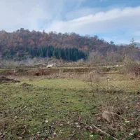 زمین زراعی مخصوص کیوی داخل طرح