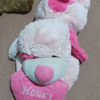 تعدادی عروسک خرسک|اسباب‌بازی بچه|زاهدان, |دیوار